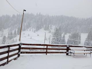 Casa Aurici Vatra Dornei - 7