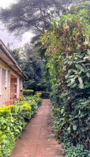 Studio Rosslyn Close - 3