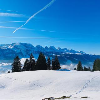 Ferienwohnung mit Sauna in Wildhaus - 9