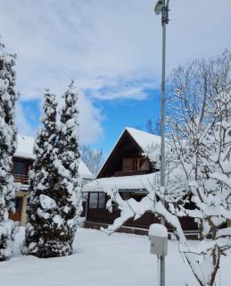 Cabana 23 - Avrig - 9