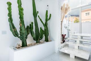 New Villa Los Olivos - 7