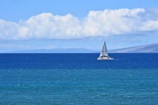 Kaleialoha 210 · KA 210 OceanFront 1BD Tropical Getaway w AC - 1