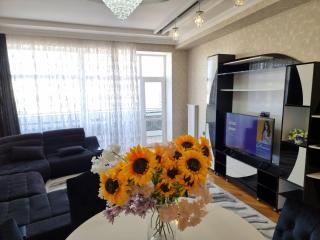 central apartment - 0