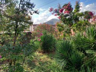 Apartman Ipak Se Okrece - 0