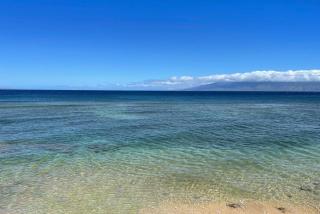 Maui Kai 206 · MK 206 Updated OceanFront Studio w Pool AC Views - 4