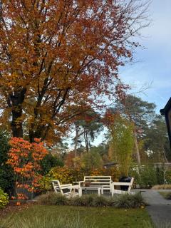 Luxe vakantiehuis “Saalien” - 8