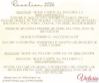 Pensiunea Victoria - 9