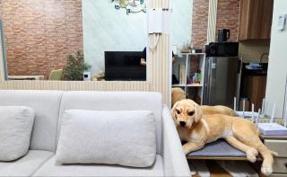 Luxe Vintage with Best View MallofAsia Airport - 5