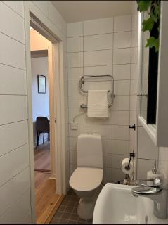 Södra innerstadens pärla - 6