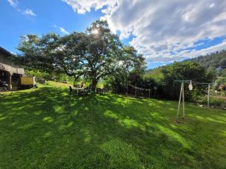 Gîte cosy dans les Vosges - 8