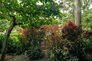 Cabañas Tucan Eco Hotel - 7