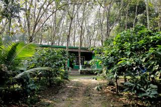 Green wayanad homestay - 5