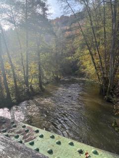 Ferienwohnung Rebennah - modern - Freisitz - Küche - ideal für Monteure - 2