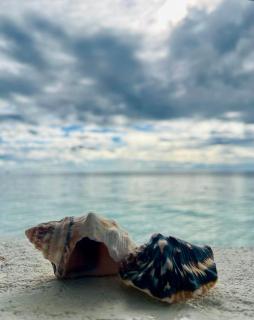 Casa Vivienne Exclusive Beach House - 9