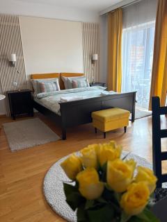 High Hopes ARTE - Braşov - 7