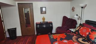 Comfortable Cozy Living Space, Kent WA - 5