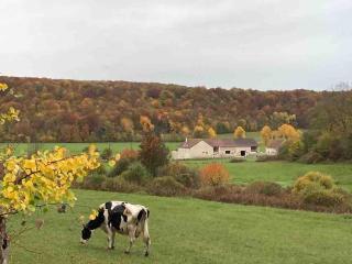 Gîte du Pavillon 4 pers Wi-Fi Haute Marne - Arc-en-Barrois - 7