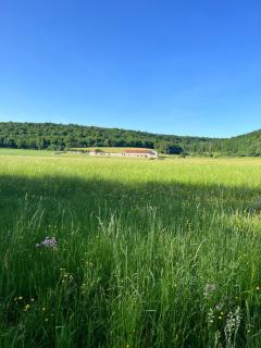 Gîte du Pavillon 4 pers Wi-Fi Haute Marne - Arc-en-Barrois - 2