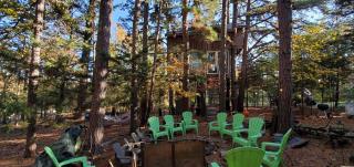 Magical Tree House Rental Nestled in the Woods on Farm Retreat near St. Louis, Missouri - 6