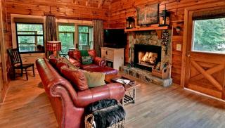 Luxurious Log Cabin Rental with a Fishing Pond in Cherry Log, Georgia - 8