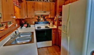Luxurious Log Cabin Rental with a Fishing Pond in Cherry Log, Georgia - 2