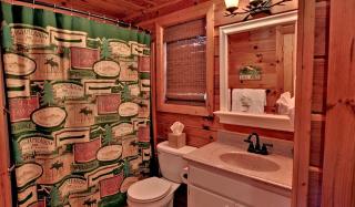 Luxurious Log Cabin Rental with a Fishing Pond in Cherry Log, Georgia - 1