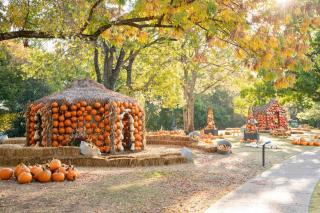 1-Story Home, Fenced Yard, Grill, Firepit, Parking, Sleeps 10, Pet-Friendly, Smart TVs, 10 Mins to Nissan Stadium & Five Points, Cozy Bedrooms, Outdoor Fun, Perfect for Families & Groups - 7