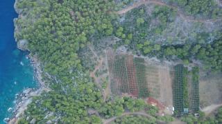 Gelidonia Fenerium Holiday Home - 5