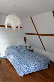 The Parrot House - 2