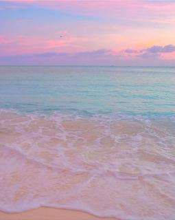 Apartment in Lechería, Beach, Marina, Shopping - 2