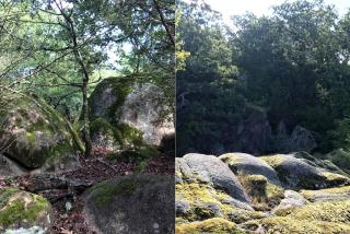 Secluded Log Cabin with Amazing Views in Tishomingo, Oklahoma - 1