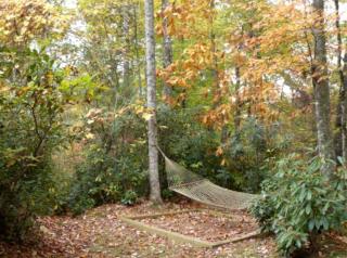 Spacious Cabin Tucked Away in the Mountains near Highlands, North Carolina - Highlands - 2