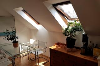 Große voll ausgestattete Wohnung im Zentrum von Chemnitz - 5