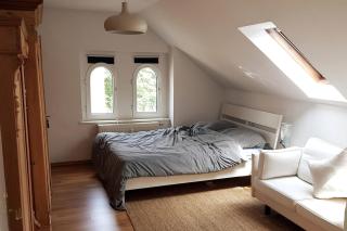 Elegante Altbauwohnung zentral & voll ausgestattet - Chemnitz - 3