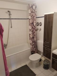 Elegante Altbauwohnung zentral & voll ausgestattet - Chemnitz - 1