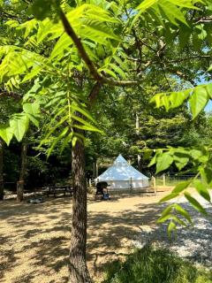 Charming Bell Tent Stay at Working Farm in Smithfield, Pennsylvania for Glamping at its Best - 2