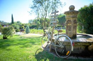 Le Mas du Pourret - Pierrefeu-du-Var - 8