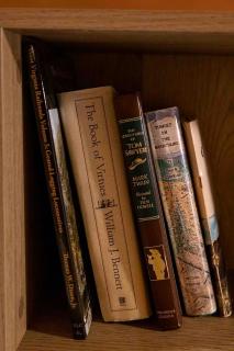 Cozy Log Cabin with a Hot Tub near Seneca Rocks, West Virginia - Perfect for a Romantic Glamping Getaway to the Mountains - 7