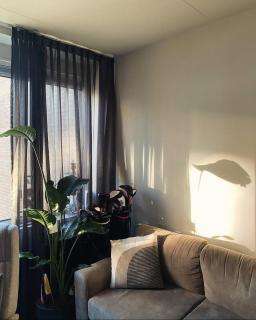 The Scheveningse Meisjes - 0