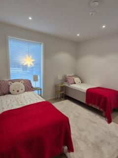 Aurora Sky Home with private sauna - 2