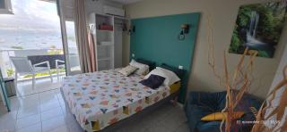 Studio de la baie Trois-ilets - 5