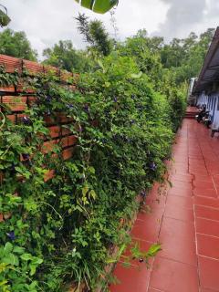 Nhà Nghỉ Vườn Oải Hương LAVENDER GARDEN GUEST HOUSE - 7