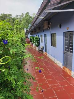 Nhà Nghỉ Vườn Oải Hương LAVENDER GARDEN GUEST HOUSE - Phu Quoc - 4