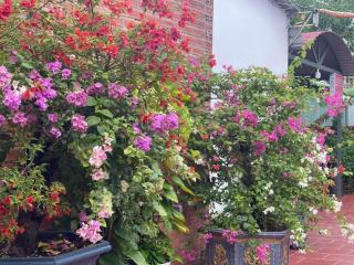 Nhà Nghỉ Vườn Oải Hương LAVENDER GARDEN GUEST HOUSE - 2