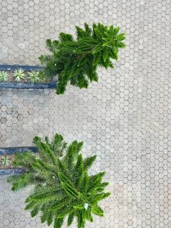 Lakeview Suites by SYLV ESTATE - 2