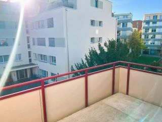 Large Flat with Balcony in Zurich, Kars - 1