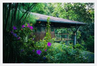 RGS Bungalow Munnar - Devikolam - 7