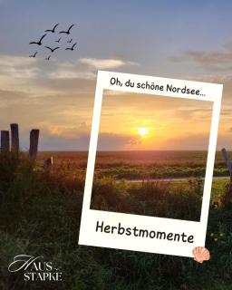 Träumen am Kamin - 0