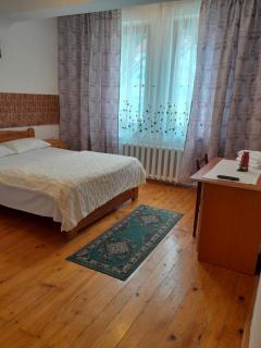 Vila Kira Buşteni - 1