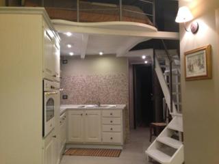 Suite Loft Baronet - Prato Nevoso - 4